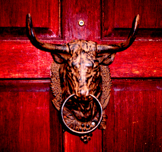 bull%20knockers%20800.jpg